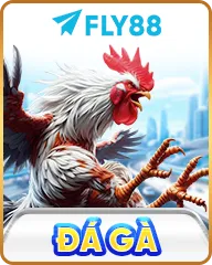 Đá gà fly88