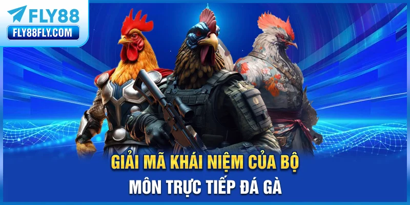 Giải mã khái niệm của bộ môn trực tiếp đá gà