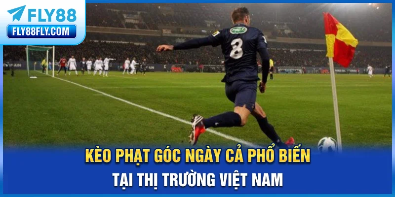 Kèo phạt góc ngày cả phổ biến tại thị trường Việt Nam