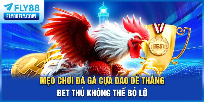 Mẹo chơi đá gà cựa dao dễ thắng bet thủ không thể bỏ lỡ