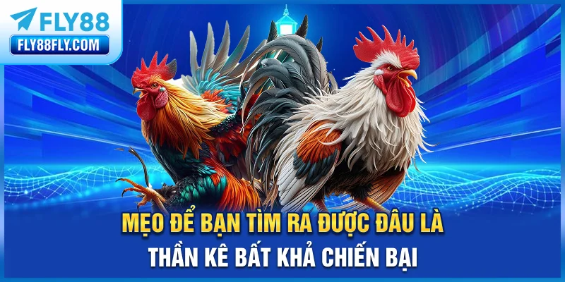 Mẹo để bạn tìm ra được đâu là thần kê bất khả chiến bại