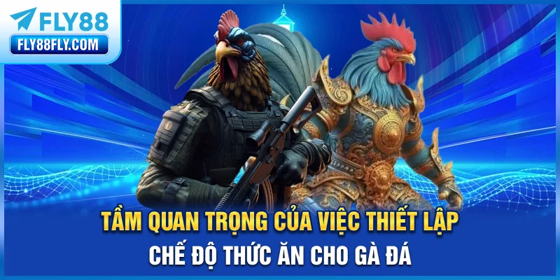 Tầm quan trọng của việc thiết lập chế độ thức ăn cho gà đá