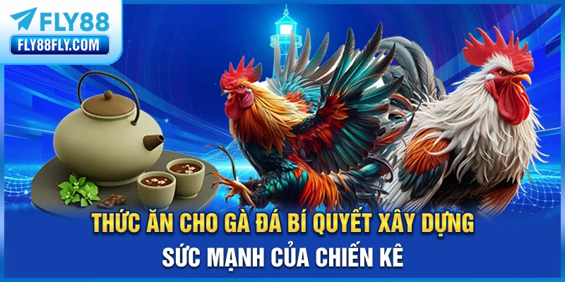 Thức Ăn Cho Gà Đá