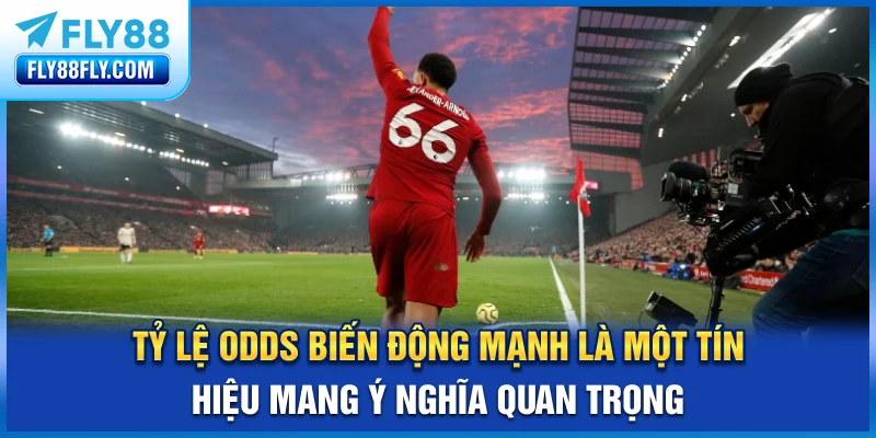 Tỷ lệ odds biến động mạnh là một tín hiệu mang ý nghĩa quan trọng