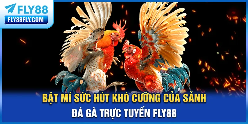 Bật mí sức hút khó cưỡng của sảnh đá gà trực tuyến FLY88